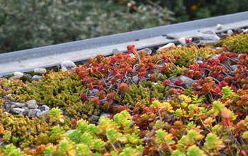 the cost of Brassington green roof installation