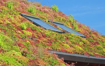 Brassington living roof systems